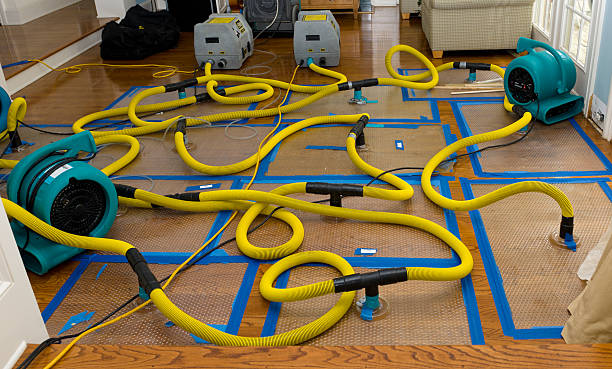 Professional Water Extraction technician working in Feesburg, OH